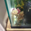 babyruth0623